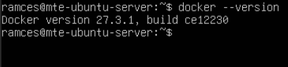 A terminal showing that Docker is currently up and running on the server machine.