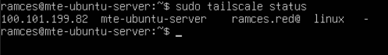 A terminal showing that Tailscale is properly running by listing all the available clients in the Tailnet.
