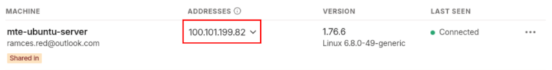 A screenshot highlighting the Tailscale IP address for the Mumble server.