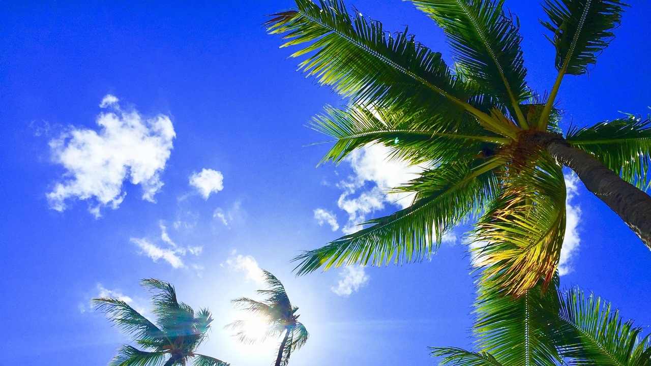 Featured image: Gain more followers on BlueSky.