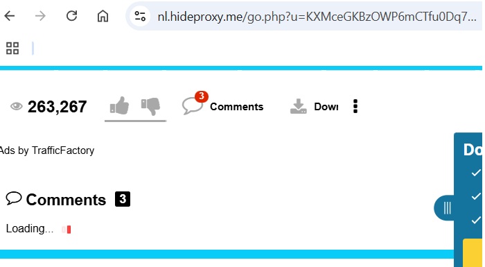 Website page loading prevented on a browser due to usage of anonymous proxy service.