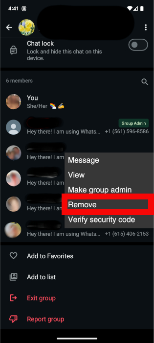 Removing someone from a group on WhatsApp