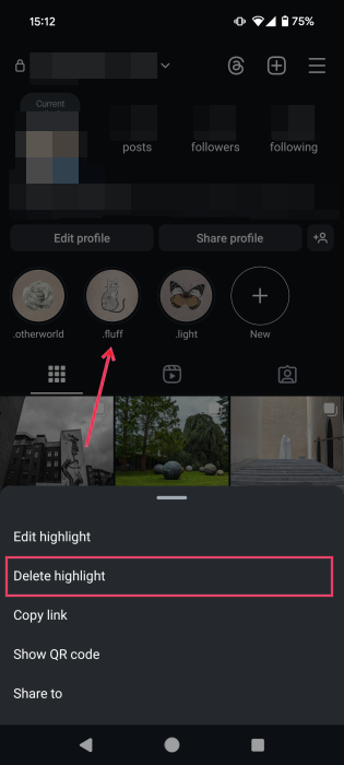 Tapping on "Delete highlight" option from Instagram profile. 
