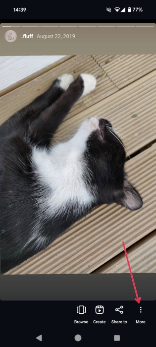 Tapping on three dots as you're viewing a Highlight on Instagram. 