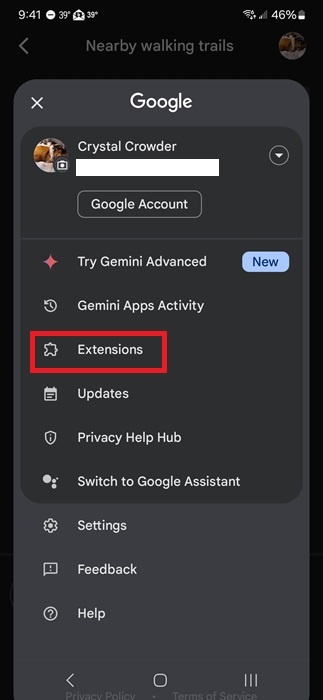 Viewing Google Gemini settings.