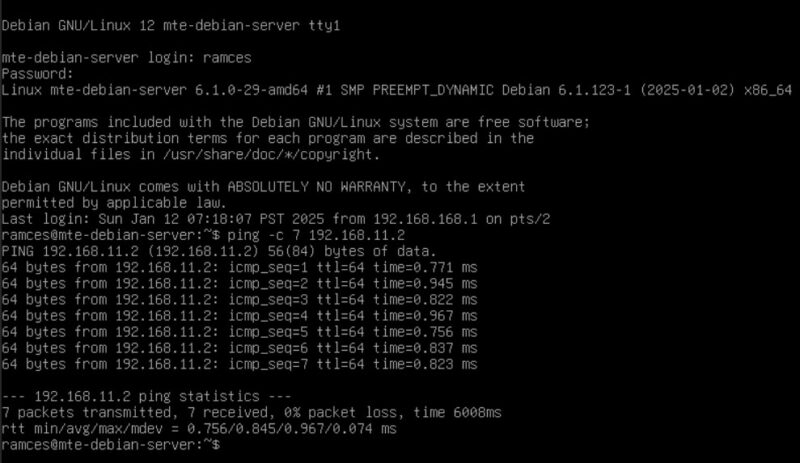 A terminal showing the ping performance of Tinc on Debian.