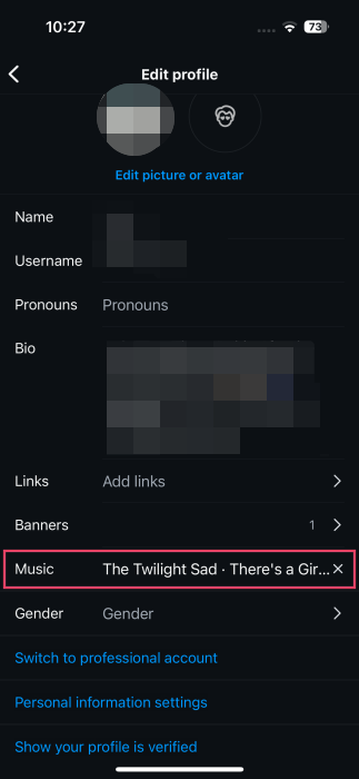 Song showing in the Music field in Edit profile screen in Instagram app on iPhone.