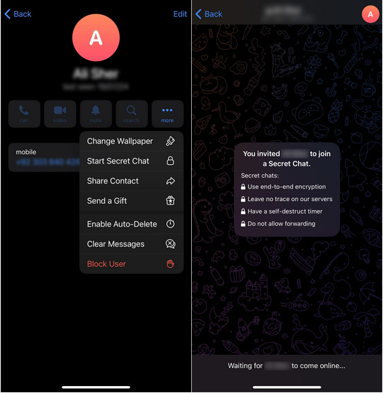 Starting A Secret Chat In Telegram