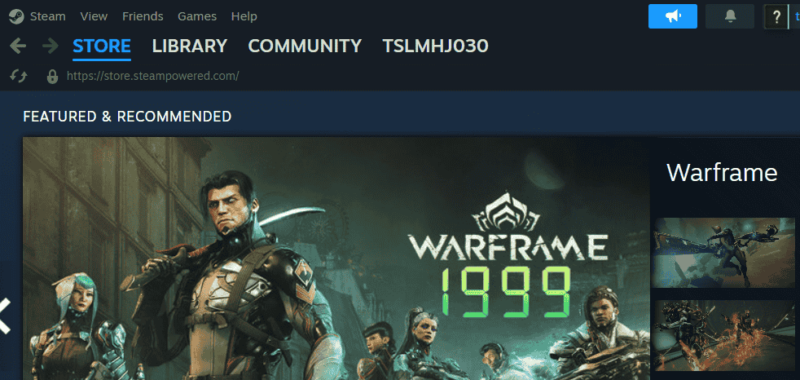 Steam Game