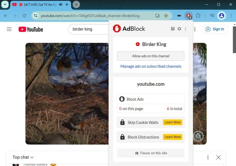 Using ad blocker on YouTube.