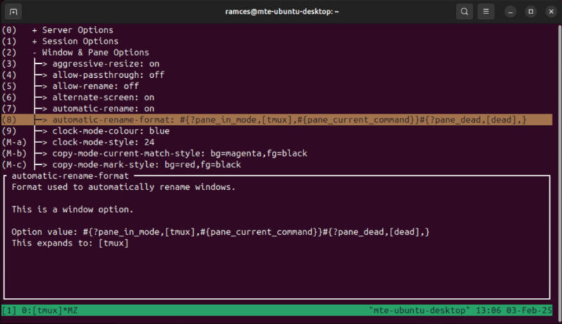 A terminal showing the custom "on-the-fly" config menu for tmux-menus.
