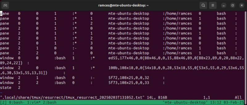A terminal showing the internals of a Tmux layout.