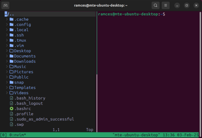 A terminal showing the Treemux plugin working on one Tmux pane.