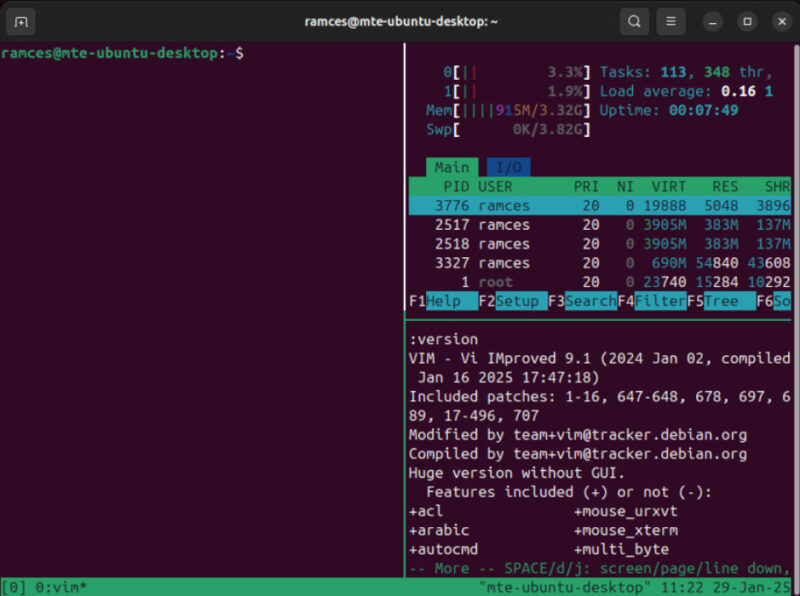 A terminal showing a dwm-like layout in Tmux.