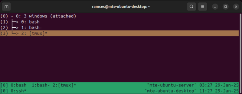 A terminal showing the nested Tmux being controlled by the user.