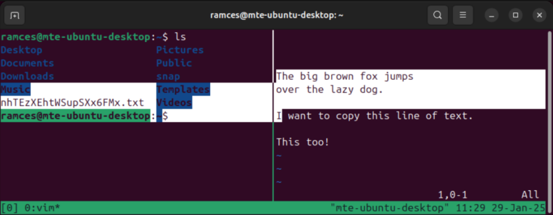 A terminal showing the wrapping effect that happens when you select text normally in Tmux.