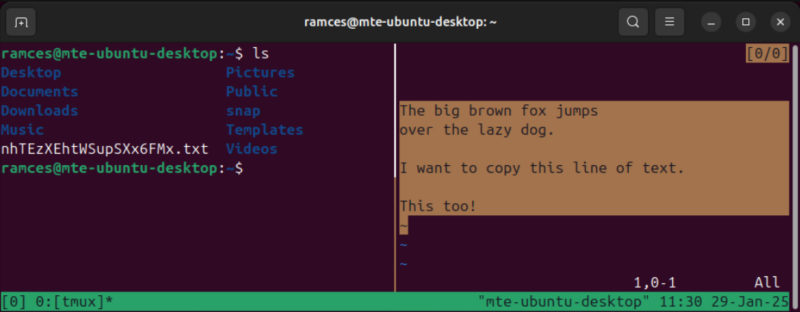 A terminal showing the properly selected text using Tmux's copy mode.