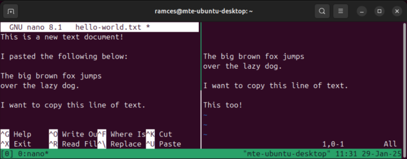 A terminal showing the pasted buffer on a different terminal pane in Tmux.