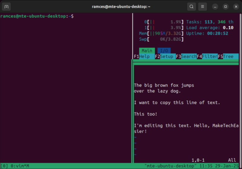 A terminal showing the marked pane inside Tmux.