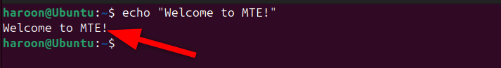 Displaying output of the echo command on Ubuntu terminal.