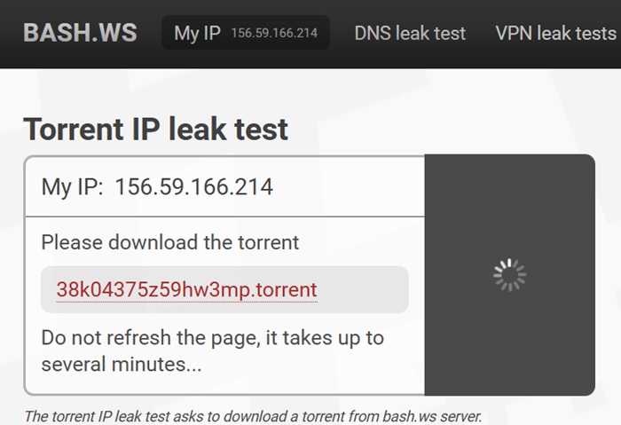 BashWS generates a torrent for testing torrent leaks while using a VPN.