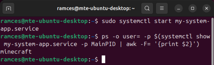 A terminal showing the current owner of the system process.
