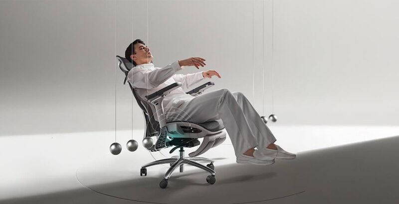 Gravity Sensing Mechanism