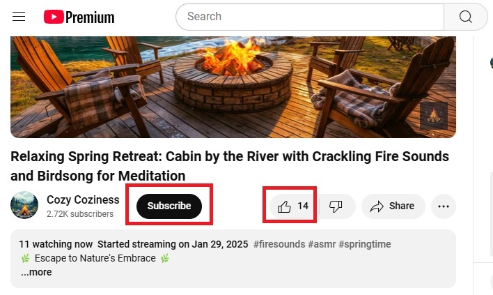 Subscribing and liking videos on YouTube.