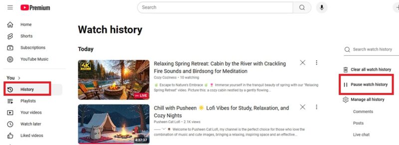 Pausing watch history on YouTube desktop.