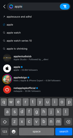 Looking Up An Instagram Account Through Search
