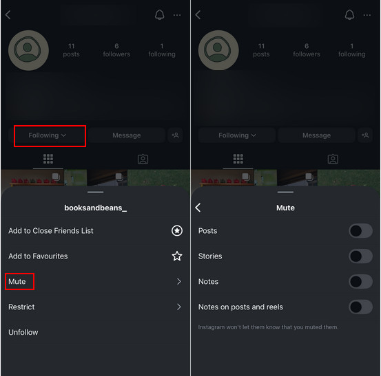 Muting An Instagram Account