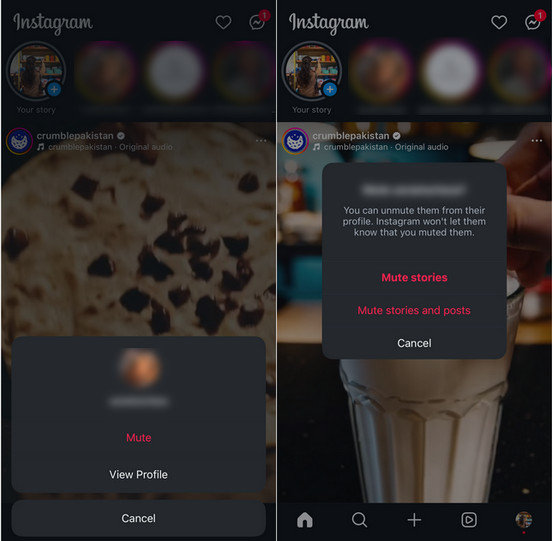 Muting Stories On Instagram