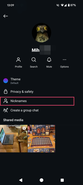 Tapping on "Nicknames" option in Instagram app DMs.