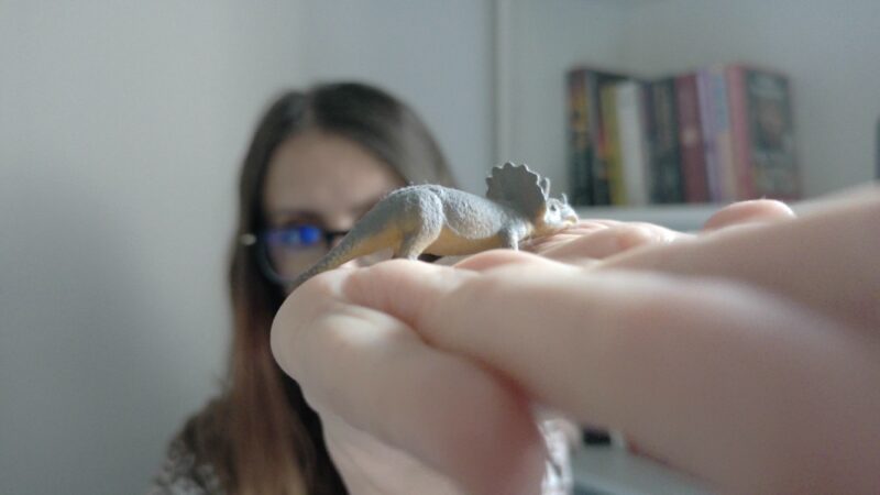 Close-up of product during daylight conditions using the Obsbot Meet 2.