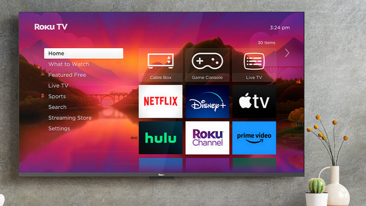 Roku Smart Tv