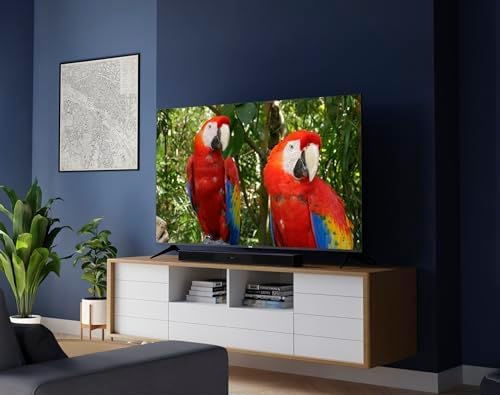 Roku Smart Tv Screen