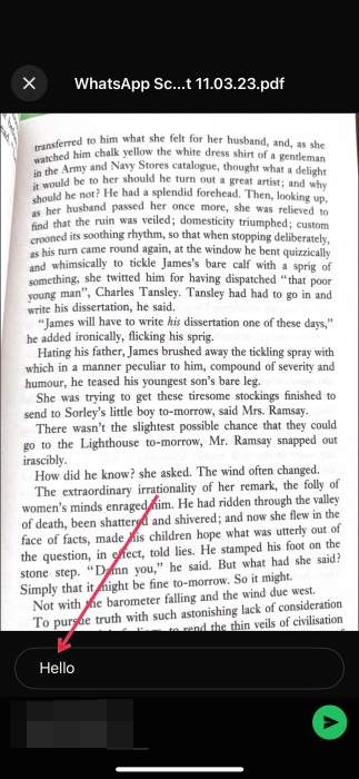 Attaching scan to a message in WhatsApp on iPhone.