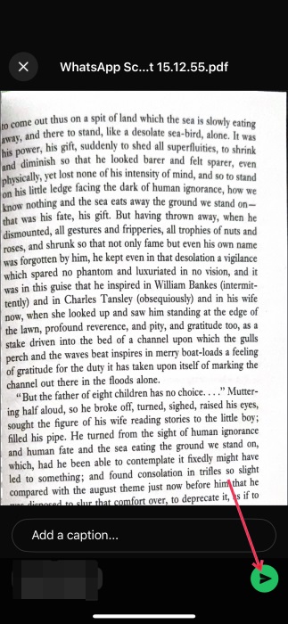 Ready to send scan in WhatsApp on iPhone. 