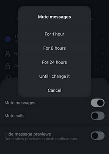 Selecting A Time For Muting Messages
