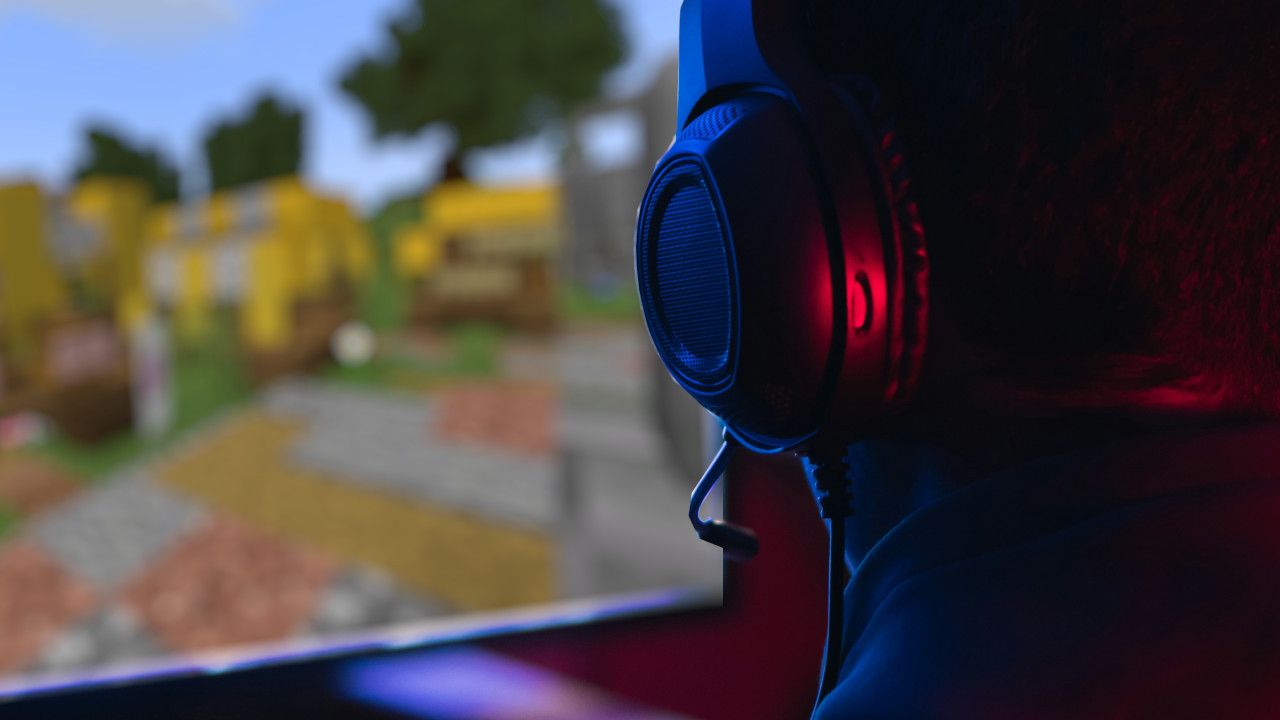 A picture showing a person playing a PC game.