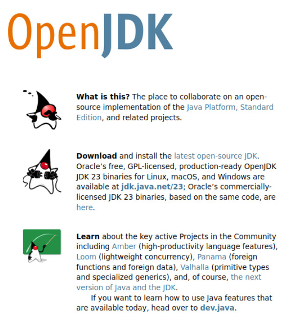 A screenshot showing the OpenJDK webpage.