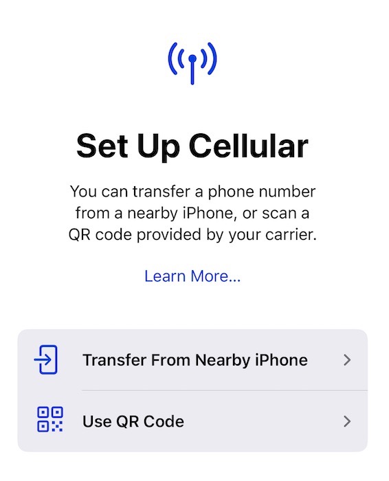 Set Up Cellular Data on iPhone eSIM