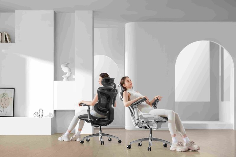 Sihoo C300 Chairs Two