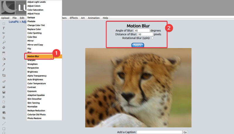 Apply Motion Blur Lunapic