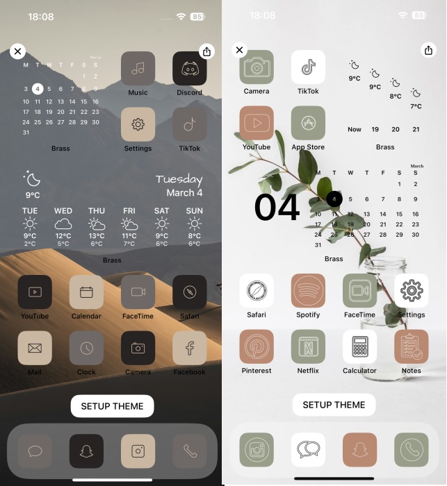Individual themes view in Brass app on iPhone.