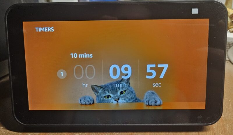 Amazon Echo Show with timer.
