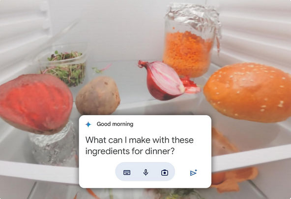 Google Pixel 9 Pro Ai Assistant