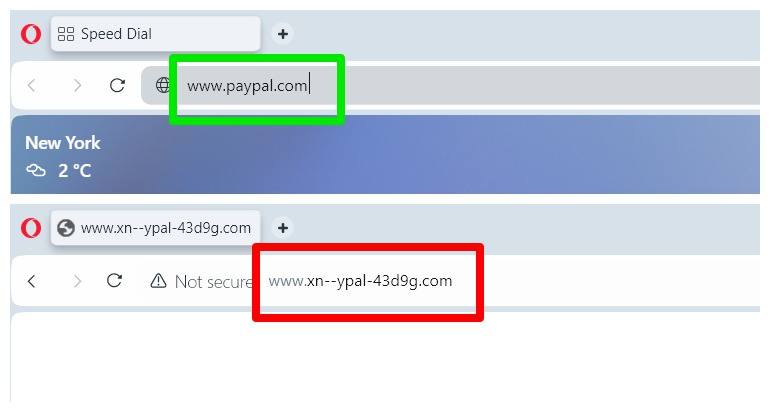 two browser address bars showing homograph URL example