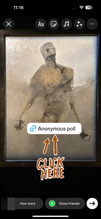 Anonymous poll view on Instagram story. 