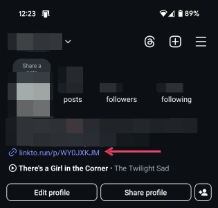 Link view in Instagram bio. 